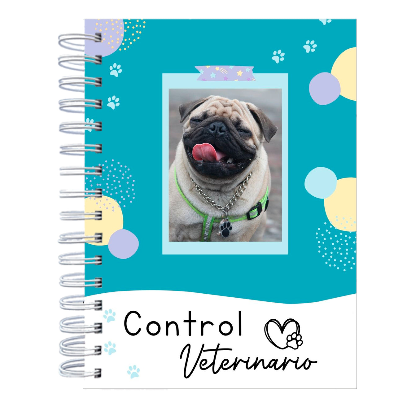 Control Veterinario Animals turquoise