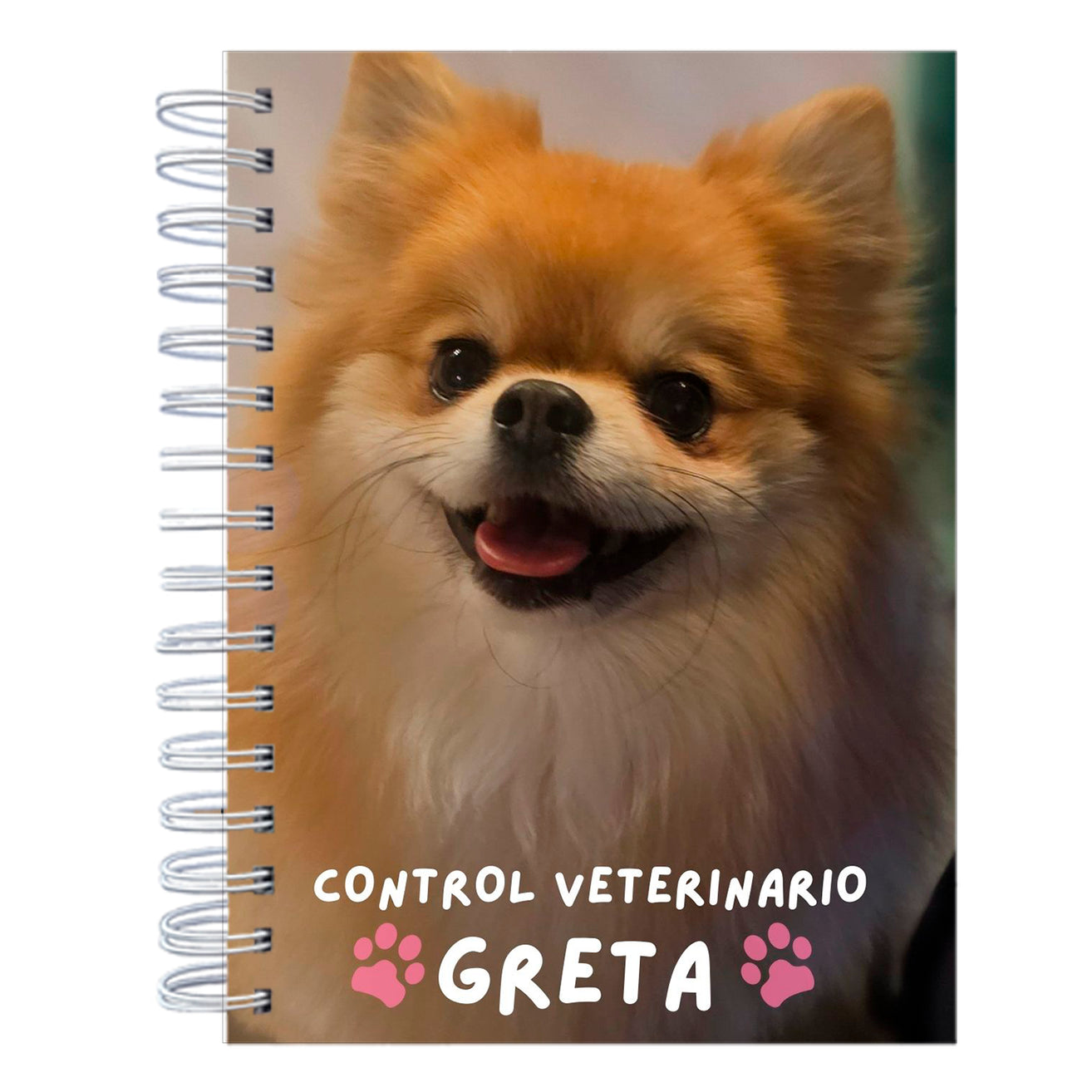 Control Veterinario Photography