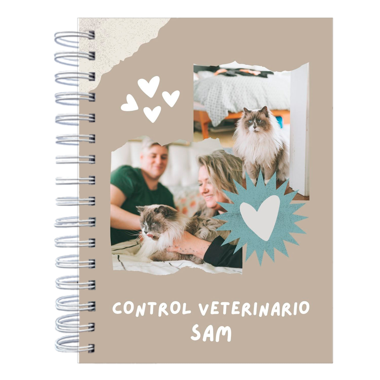 Control Veterinario Animals Brown